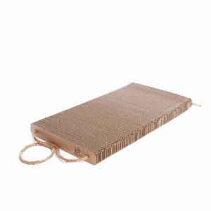 Plank